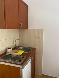 a kitchen with a sink and a counter top at Fikret-apartmani Velika plaža in Ulcinj