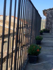 Fotografia z galérie ubytovania Da Cleo-nel cuore del Barocco Siciliano v destinácii Ragusa