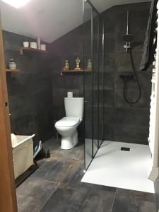 a bathroom with a toilet and a shower at Loft à Tours Nord in Tours