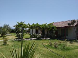 ein Haus mit einer Palme im Hof in der Unterkunft Conectar con la naturaleza te hará más feliz in Melipilla
