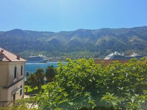 a view of the water and mountains from a building at Apartmani F&M in Kotor