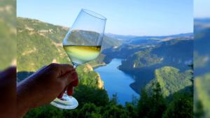 a person holding a glass of wine in front of a river at Rural Resort Tron in Pluzine