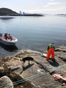 a man and a dog and a boat in the water at ISIKKIVIK Saarloq 