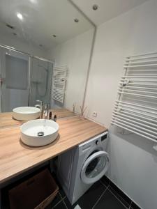 ein Badezimmer mit einem Waschbecken und einer Waschmaschine in der Unterkunft Nimes centre ville appartement cosy 2 chambres in Nîmes