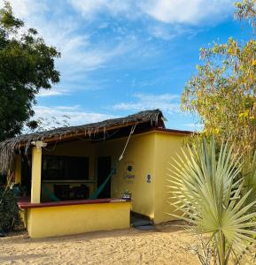 una pequeña casa amarilla en medio de un campo en Bungalow Cirujano, en Cabo Pulmo