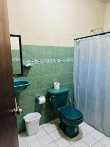 a bathroom with a green toilet and a sink at Bungalow Cirujano in Cabo Pulmo