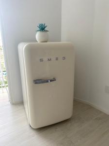 un frigorifero bianco con una pianta sopra di Giglio di mare a Tropea Altre 38 foto