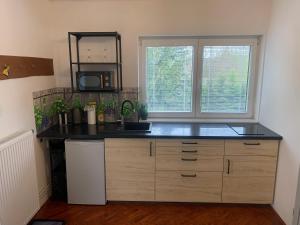 a kitchen with a counter with a sink and a window at Farma u Prokopů Humpolec in Humpolec