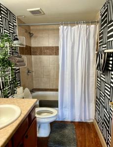 a bathroom with a toilet and a shower curtain at 420 Friendly Loft Skyline/Canada View Free Parking in Detroit