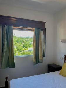 1 dormitorio con cama y ventana con vistas en Alojamento Thermal Romano, en São Pedro do Sul