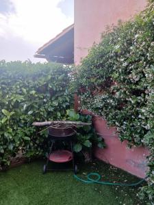 a stool sitting in front of a hedge at Appartamento Salina Bamba in San Teodoro