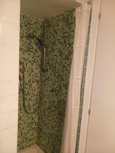 a shower in a bathroom with green tile at Appartamento Salina Bamba in San Teodoro