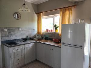 a kitchen with a white refrigerator and a window at Oasis in Amoudi