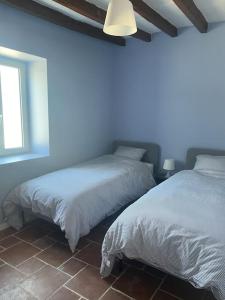 twee bedden in een slaapkamer met blauwe muren bij Charmante maison à la campagne in Sainte-Fauste
