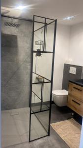 a bathroom with a glass shelf next to a toilet at B&B La Vieille Source in Saint-Martin-dʼArdèche