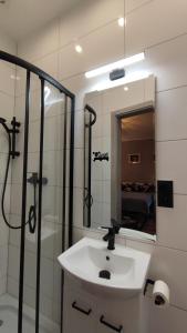 y baño con lavabo, ducha y espejo. en Hoffman Apartament, en Cracovia