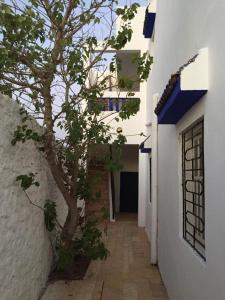 a tree sitting next to a white building at Nour Mogador in Ghazoua