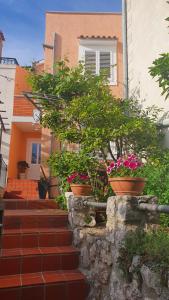 Zahrada ubytování Apartmani Sirovica