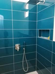 a blue tiled bathroom with a shower with a hose at L'Isolana Case Vacanza Villa Alessia in Ponza