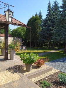 un patio avec des plantes en pot dans un parc dans l'établissement Apartamenty Wiejska 126, à Sosnowiec