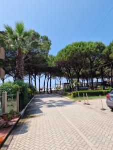 un camino de ladrillo con palmeras y un coche aparcado en él en Villa Pearl of Adriatic en Golem