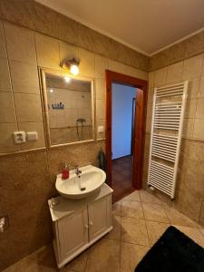 a bathroom with a sink and a mirror at Apartmán MW in Poprad