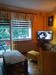 ワグフにあるKlimatyczny apartament nad jezioremのリビングルーム(テレビ、ソファ付)
