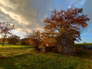 una vecchia casa in un campo con un albero di La Villauvert - Cottage a Saint-Martin-sur-Oust