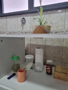 una encimera de cocina con una planta encima en Hermoso departamento con patio en Rio Gallegos en Río Gallegos