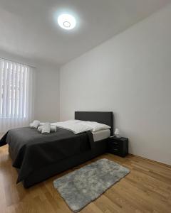 a bedroom with a large bed and a rug at Modernes Juwel in zentraler Lage in Vienna
