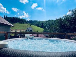 a large plunge pool with a view of a house at Casa Fratila in Holbav