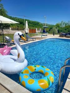 a swimming pool with a swan and an inflatable at Green House in Virpazar
