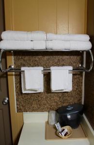 a towel rack in a hotel room with towels at Executive Inn Goliad in Goliad