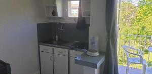 uma pequena cozinha com um lavatório e uma varanda em Studio lou paradou residence le provence em Gréoux-les-Bains