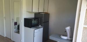 uma cozinha com um micro-ondas e uma televisão num balcão em Studio lou paradou residence le provence em Gréoux-les-Bains
