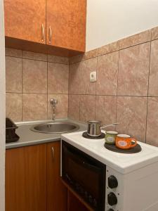 Kuchyň nebo kuchyňský kout v ubytování Jelić apartmani