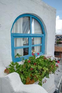 a blue window in a white building with a potted plant at Hotel Casa Blanca in Puerto Baquerizo Moreno +3 photos