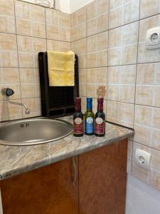 two bottles of alcohol sitting on a counter next to a sink at Jelić apartmani in Sutomore