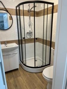 a shower in a bathroom with a toilet and a sink at Apartament Mazowiecka 29 (blisko PESA, PKP, Atos) in Bydgoszcz