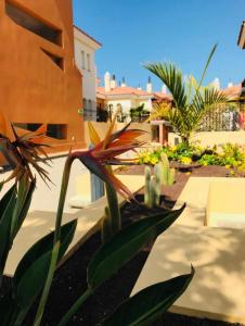 A garden outside Selena Luxury Monte Carrera