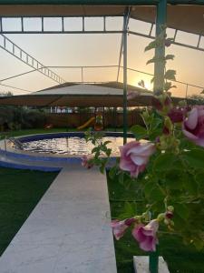 a swimming pool with a fountain with pink flowers at Luxury Farm 2 with Swimming Pool in Al Rahba