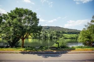 a body of water with a tree and a soccer ball at Luxus Ferienwohnung "Mila" mit Moselblick und Garage für Motor- und Fahrräder in Zell an der Mosel