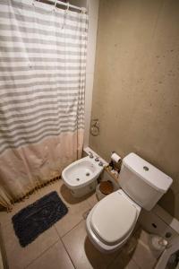 a bathroom with a toilet and a shower curtain at Espectacular Loft a estrenar !! in Godoy Cruz
