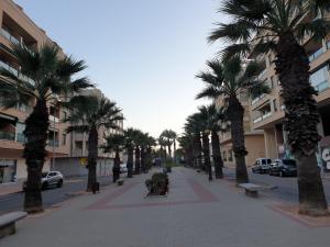 a city street with palm trees and buildings at Apartamento Salamanca in Guardamar del Segura
