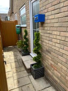 a patio with three potted plants next to a window at No 64 Bed and Breakfast in Lymington