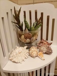 a white chair with a vase of plants and shells at Апартамент в Oasis beach Kamchia - Най-любимото синьо in Bliznatsi