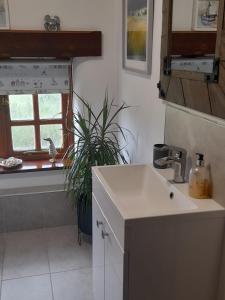 een witte keuken met een wastafel en een raam bij Delightful Devon Cottage in East Budleigh