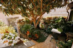 uma sala de jardim com uma árvore e muitas plantas em La casetta di Giusy - Alloggio turistico em Viterbo