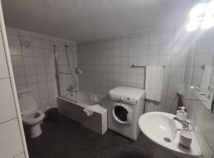 La salle de bains est pourvue d'un lave-linge et d'un lavabo. dans l'établissement Casa das Hortênsias, à Horta
