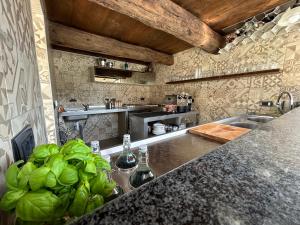cocina con fregadero y encimera en Il Canneto en Sestri Levante
